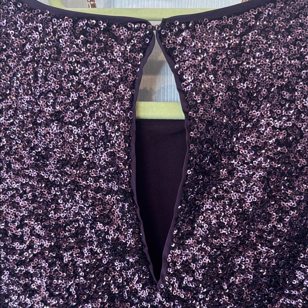 Express Deep Purple Sequin Dress - Picture 4 of 5